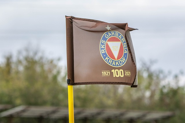 虽然拜仁在 虽然拜仁在