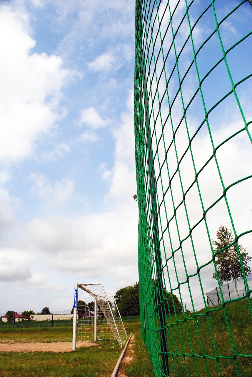 本文将在分 本文将在分