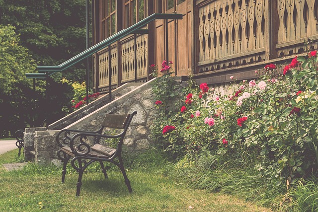 本次杭州亚 本次杭州亚