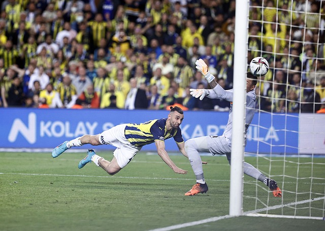 特别是在东 特别是在东