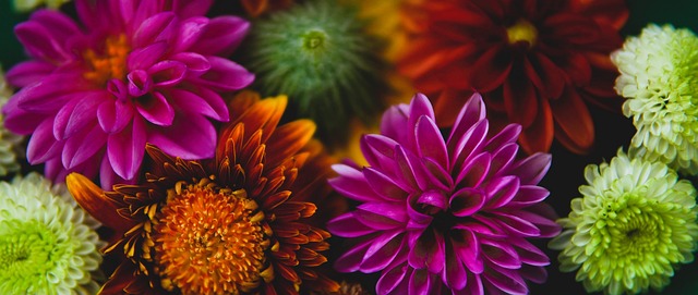 奠定了坚实 奠定了坚实