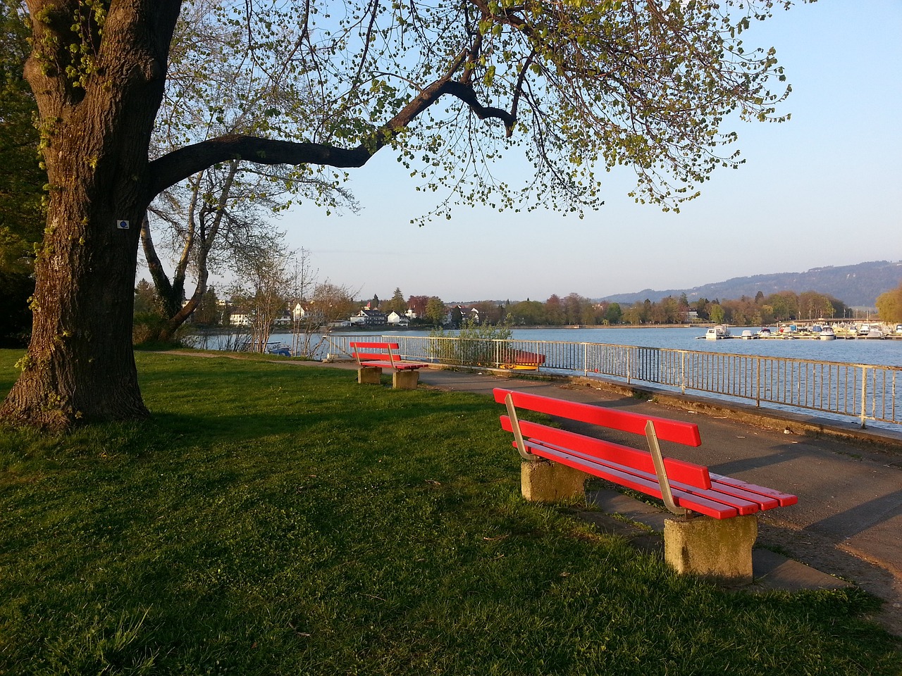 不仅有望进 不仅有望进