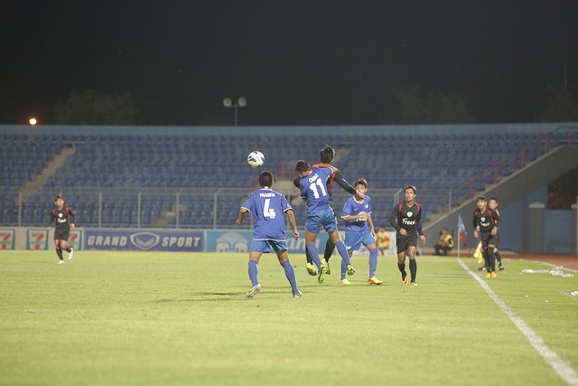 不仅吸引了 不仅吸引了