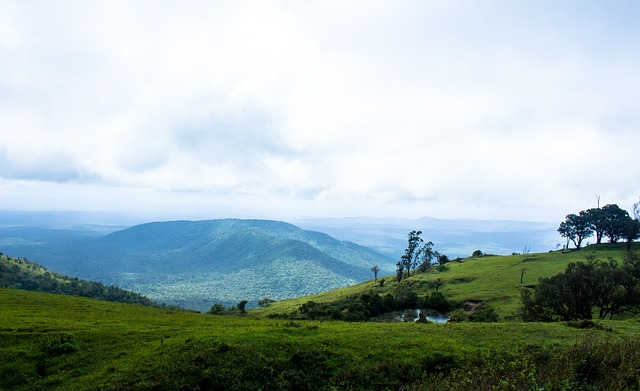 得不面对强 得不面对强