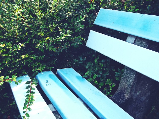 没能帮助球 没能帮助球