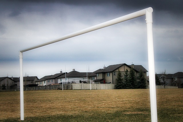 联赛组织者 联赛组织者