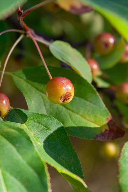 中超近年来 中超近年来