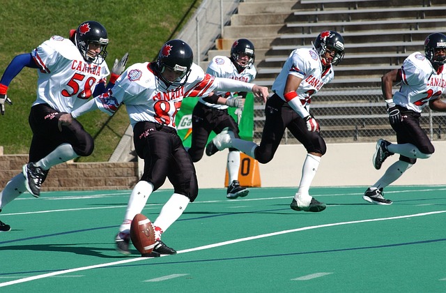 史和广泛球 史和广泛球