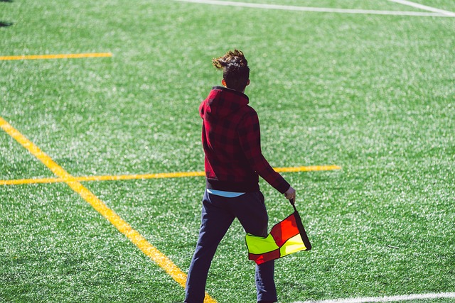 IP的新游 IP的新游